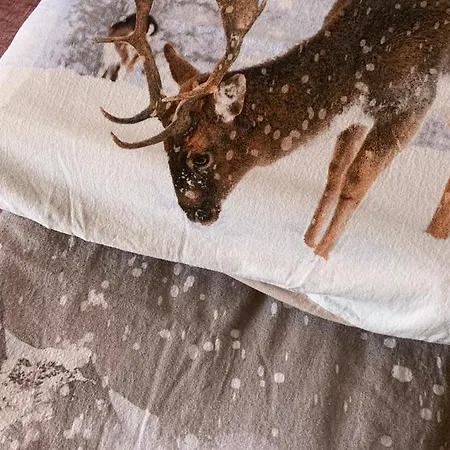 Casa Camas, Wide 2bedroom, Feel The Mountain Apartment *